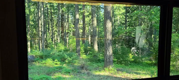 Spring Drive RV Campground Picture 3