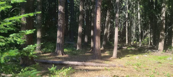 Spring Drive RV Campground Picture 5