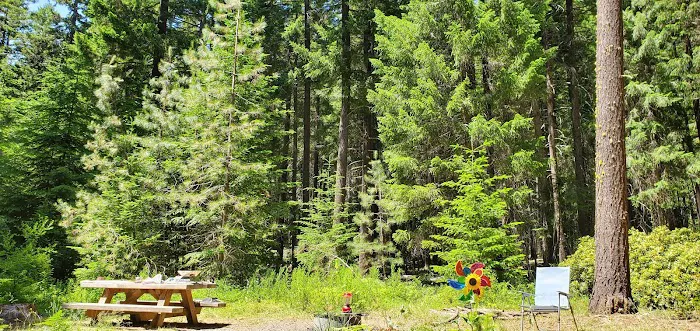 Spring Drive RV Campground Picture 6