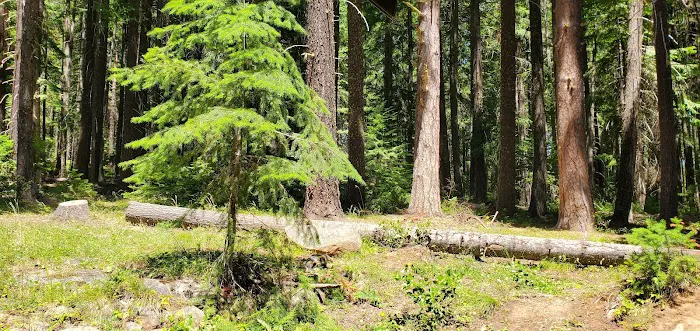 Spring Drive RV Campground Picture 8