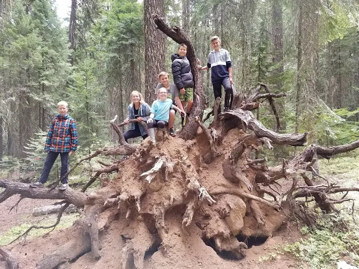 Bear Springs Group campground Picture 2