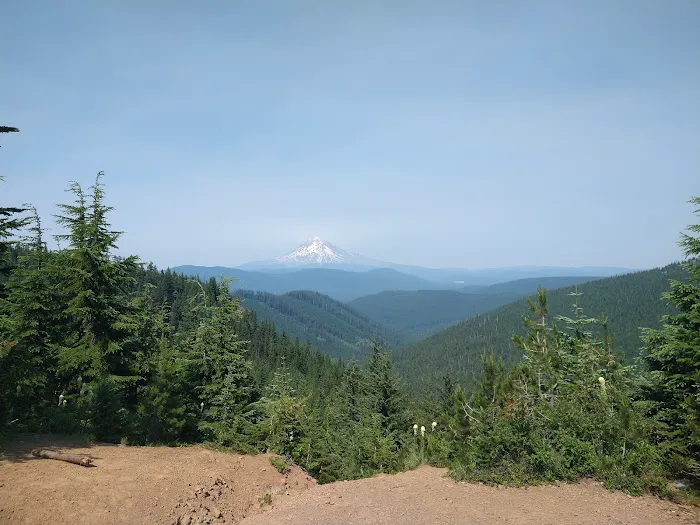 FS road 2130 Mt Hood National Forest Picture 2