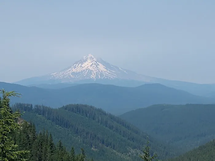 FS road 2130 Mt Hood National Forest Picture 1