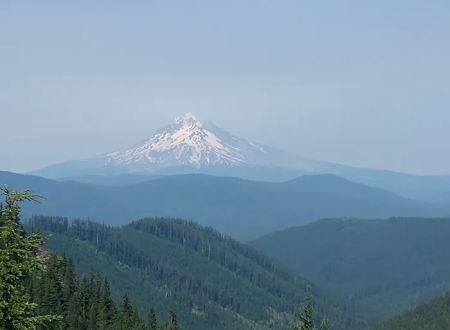 FS road 2130 Mt Hood National Forest