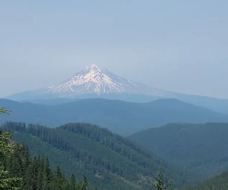 FS road 2130 Mt Hood National Forest
