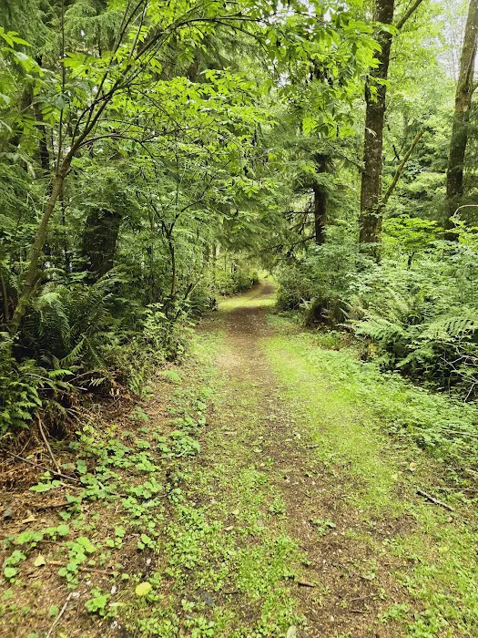 Bruceport County Park & Campground Picture 2
