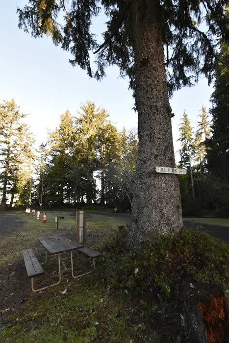 Bruceport County Park & Campground Picture 6