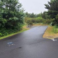Grayland Beach State Park ico