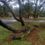 192-284 Campground