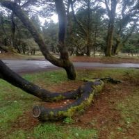 192-284 Campground ico