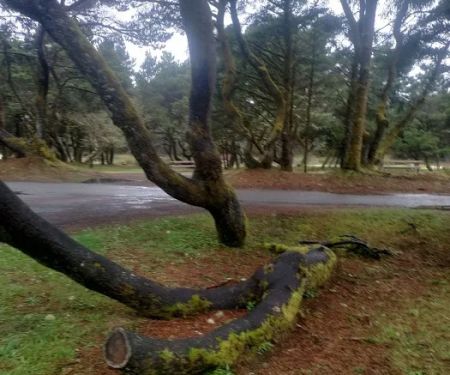 192-284 Campground