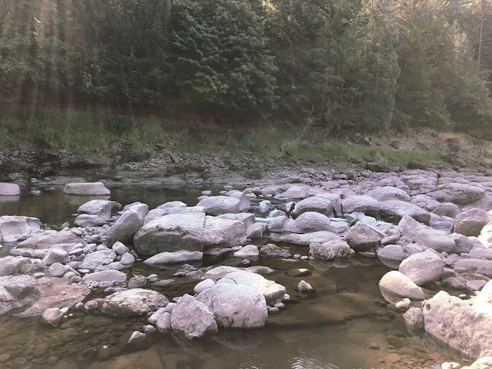 Whitcomb Creek County Park Picture 3