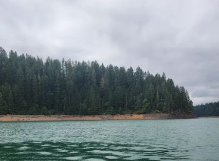 Whitcomb Creek County Park