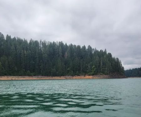 Whitcomb Creek County Park