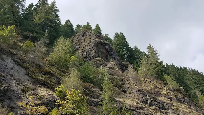 Whitcomb Creek County Park Picture 4