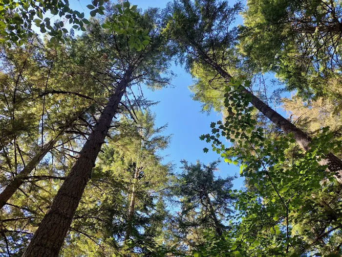 Whitcomb Creek County Park Picture 6