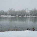 Riverview Park Biker/Boater Campground