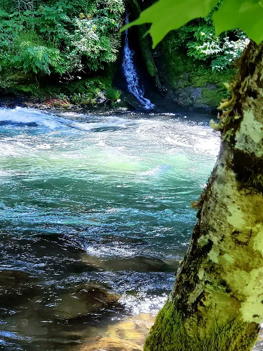 Whispering Falls Campground Picture 5