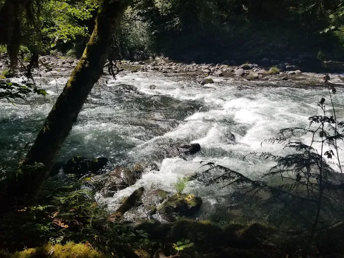 Whispering Falls Campground Picture 1