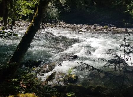 Whispering Falls Campground