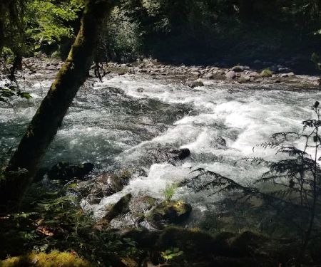 Whispering Falls Campground