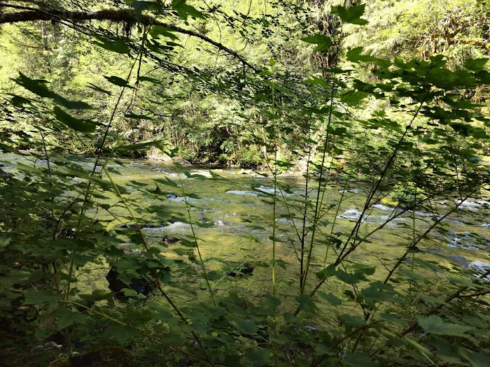 Riverside at Detroit Campground Picture 2