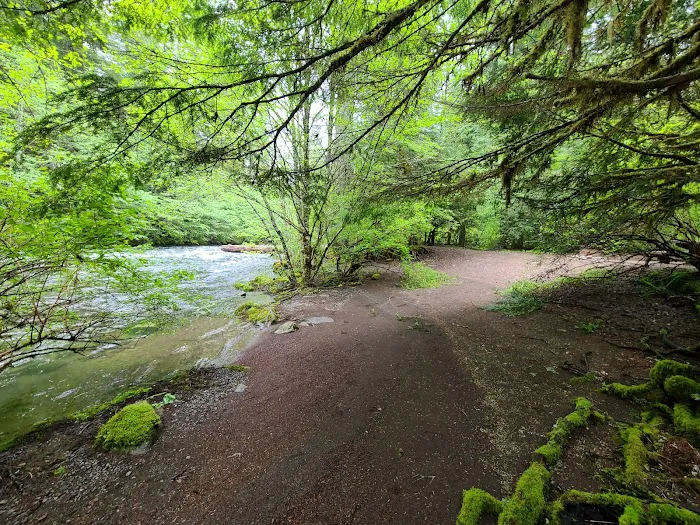 Riverside at Detroit Campground Picture 6