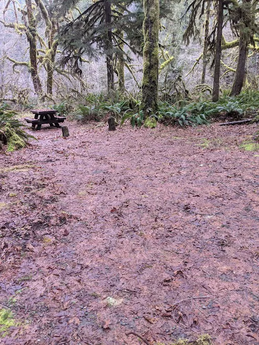fernview group campground Picture 9