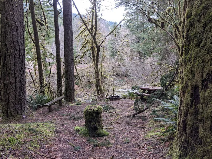 fernview group campground Picture 5