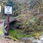 fernview group campground
