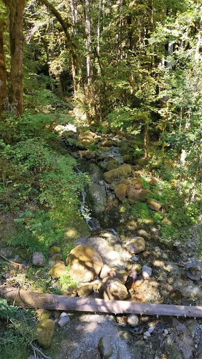 fernview group campground Picture 3