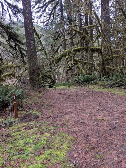 fernview group campground Picture 7