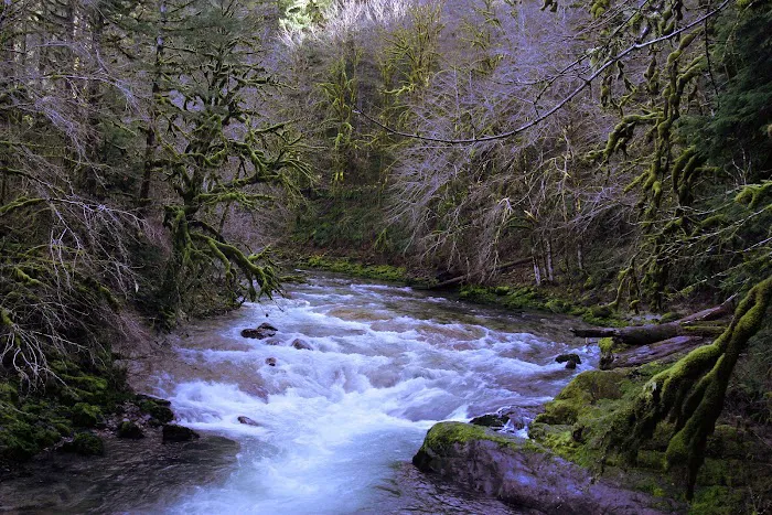 fernview group campground Picture 6