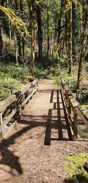 USFS: Trout Creek Campground Picture 6