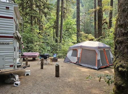 USFS: Trout Creek Campground