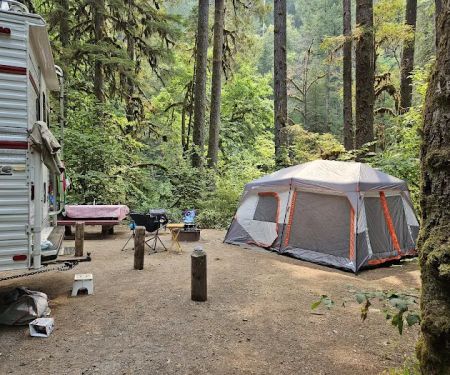 USFS: Trout Creek Campground