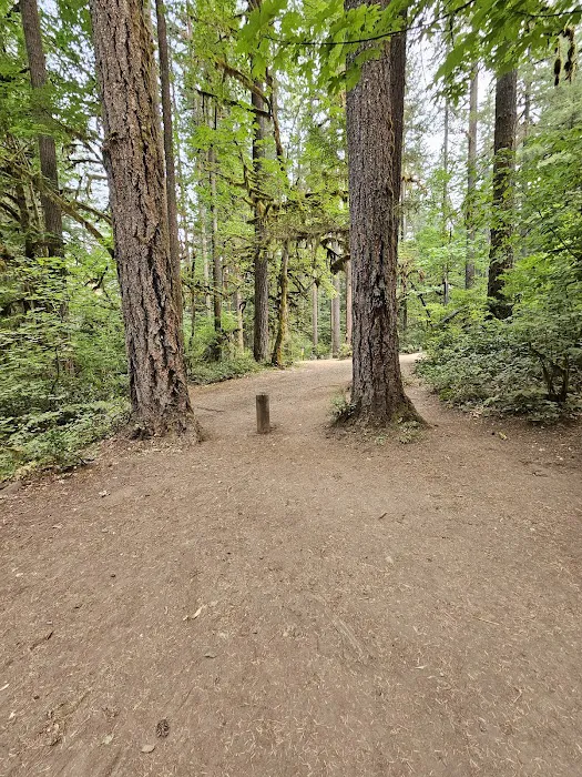 USFS: Trout Creek Campground Picture 3