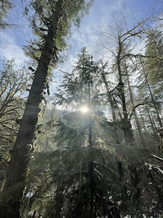 USFS: Trout Creek Campground Picture 9