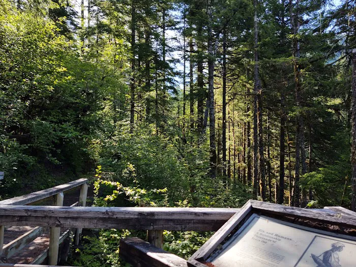 USFS: Trout Creek Campground Picture 7