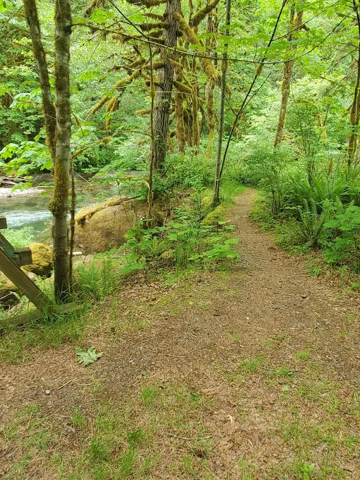 Yukwah Campground Picture 2