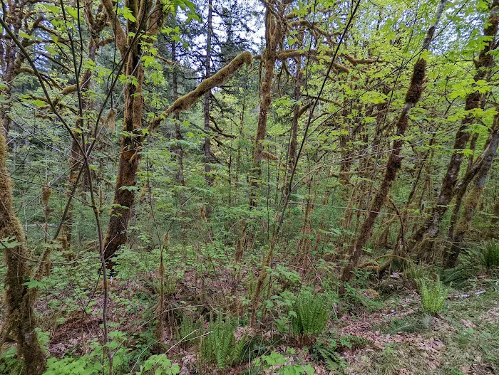 Yukwah Campground Picture 4