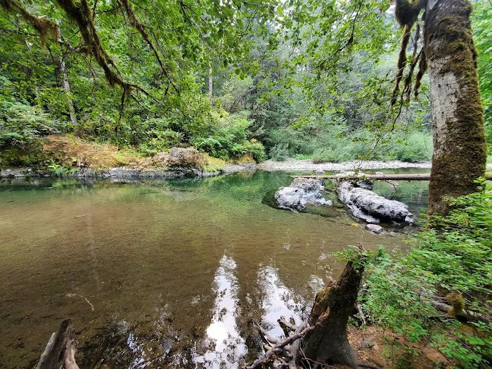 Yukwah Campground Picture 10