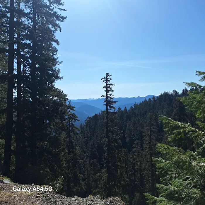 US Forest Service Picture 1