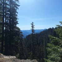 US Forest Service ico