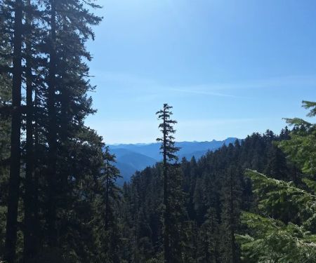 US Forest Service