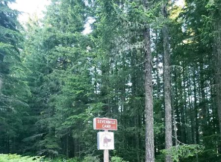 Sevenmile Horse Camp