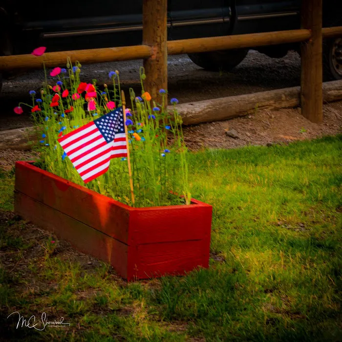 Lincoln City KOA Holiday Picture 1