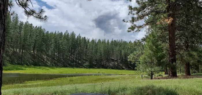 Summer Island Campground Picture 6