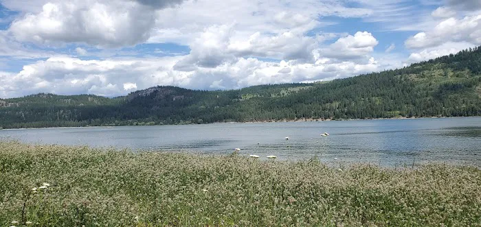 Summer Island Campground Picture 10
