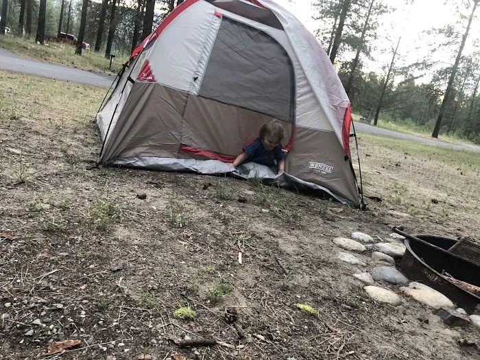 Evans Group Campground Picture 3